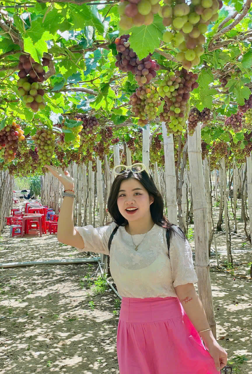 Tour Ninh Thuận